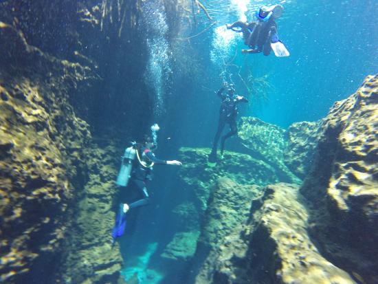 Diving in Tulum