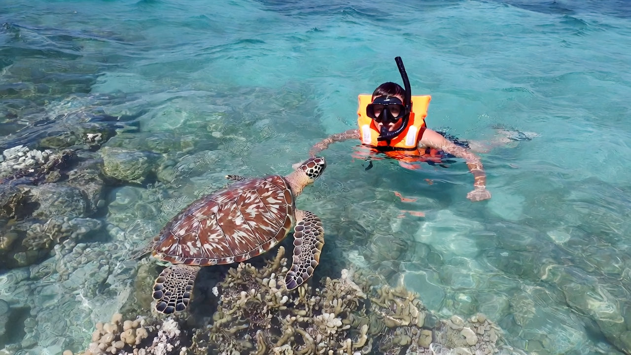 Snorkel Tulum – Tour en Lancha