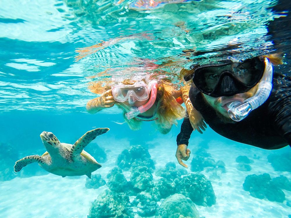 Snorkel Tulum Tour Privado-Solo tu y tu grupo
