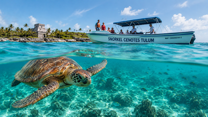 Akumal Snorkel con Tortugas