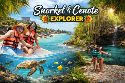 Snorkel en Arrecife + 4 Cenotes Casa Tortuga