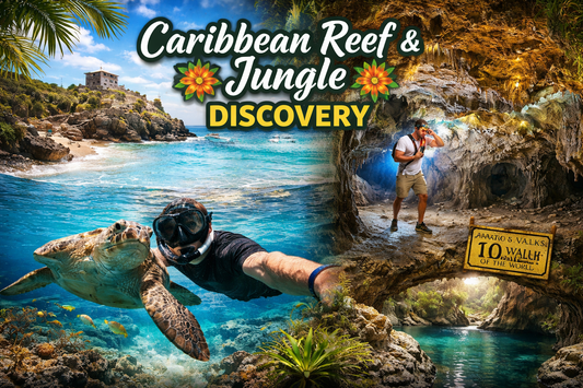 Snorkel en Arrecife + Aktun Chen Park