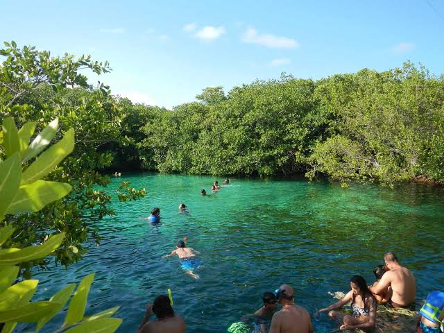 Diving in Tulum