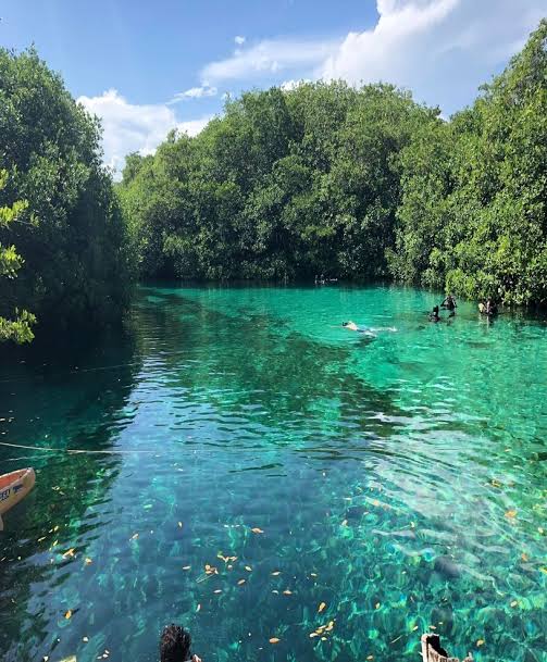 Diving in Tulum