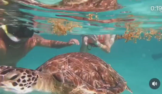 Snorkel Tulum – Tour en Lancha